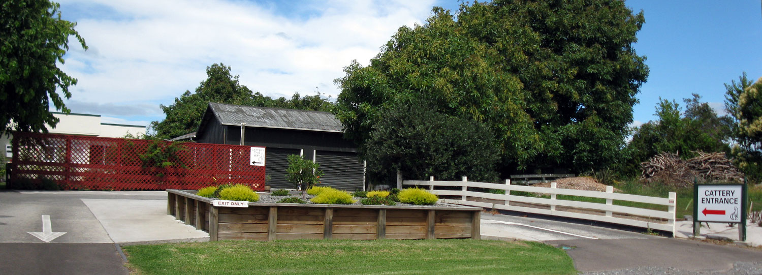 A Cat's World Boarding Cattery Tauranga