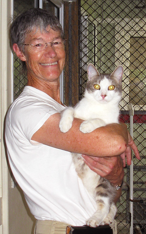 Gwenda - A Cat's World Owner